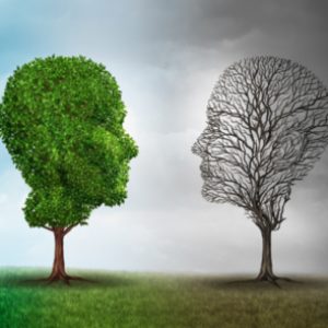 Cursa Máster en Mindfulness